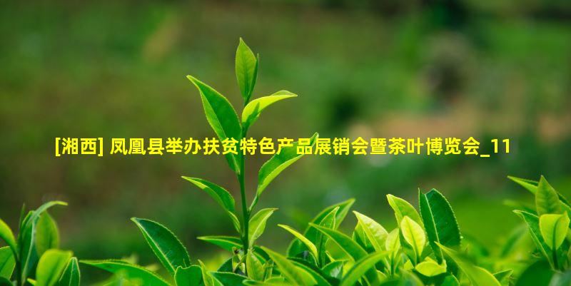 [湘西] 凤凰县举办扶贫特色产品展销会暨茶叶博览会